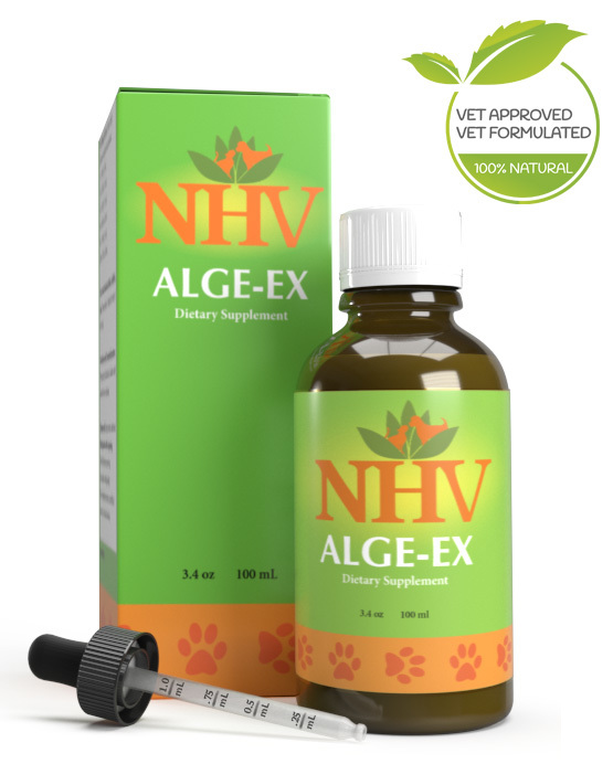 Alge-Ex 100 ml
