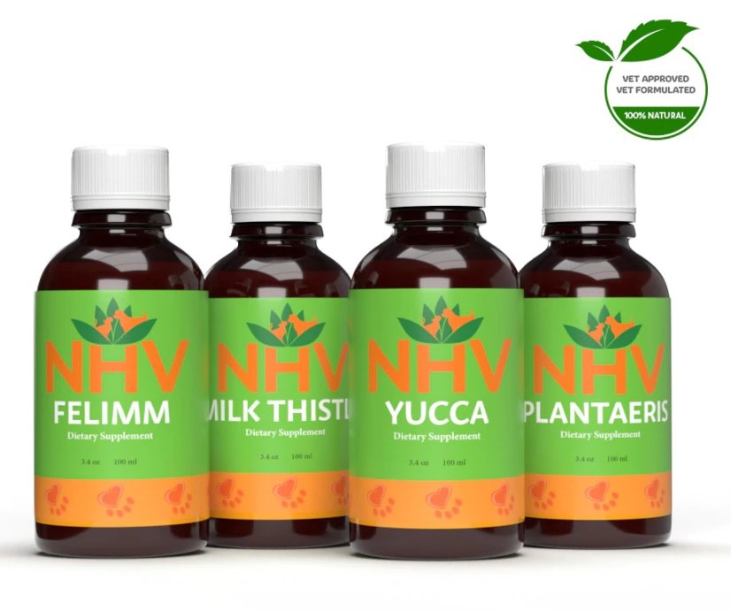 GASTROINTESTINAL LYMPHOMA SUPPORT KIT