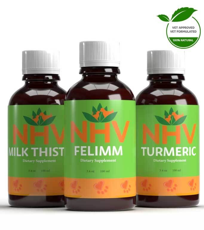 FELINE LEUKEMIA (FELV) IMMUNE AND ANTIOXIDANT SUPPORT KIT